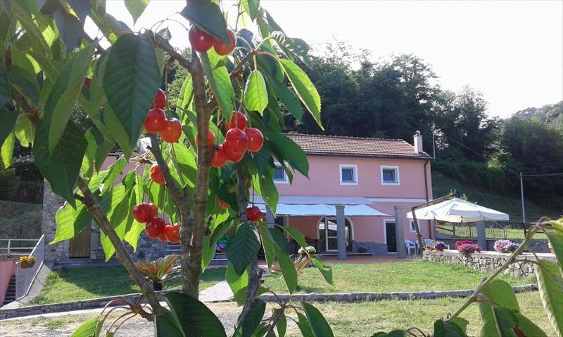 B&B La Casina Rosa La Spezia Valeriano Lunense Exterior foto