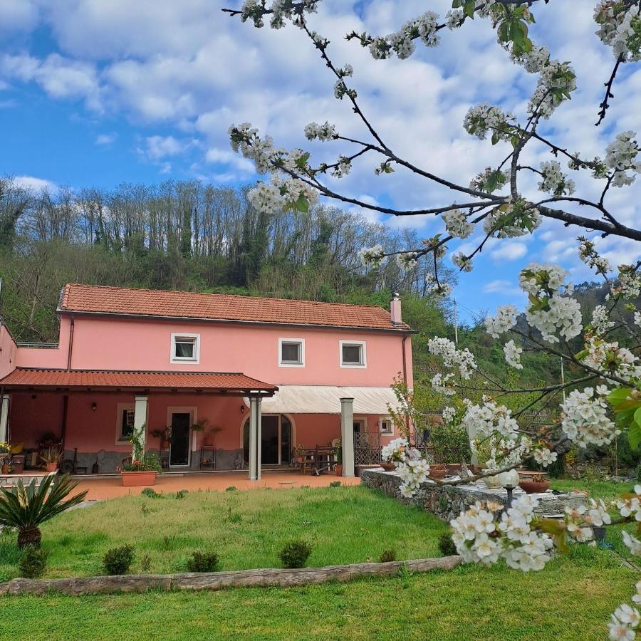 B&B La Casina Rosa La Spezia Valeriano Lunense Exterior foto